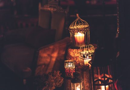 pexels-craig-adderley-1652303