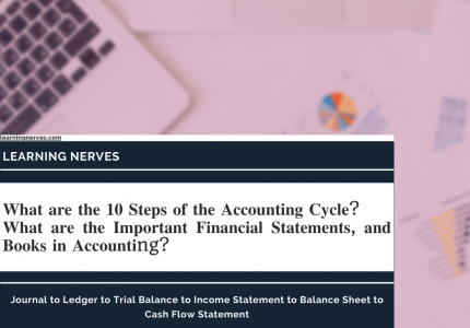 Financial Statements of a Company