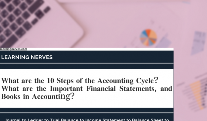 Financial Statements of a Company